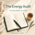 The Energy Audit