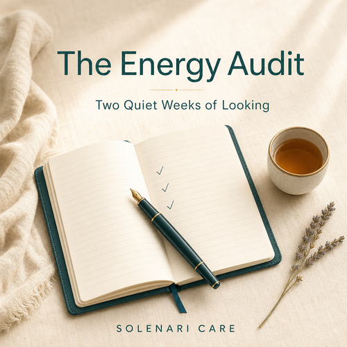 The Energy Audit
